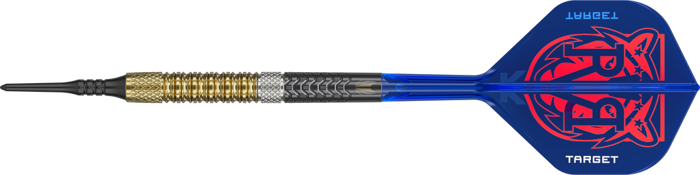 Fléchettes souples Target Raymond Van Barneveld GEN6