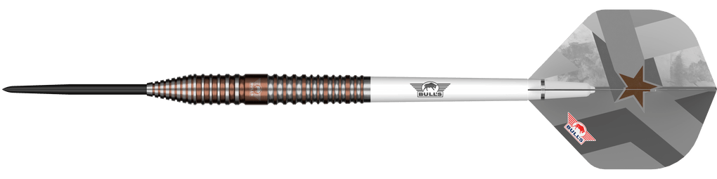 Fléchettes en acier Bulls NL Max Hopp E5