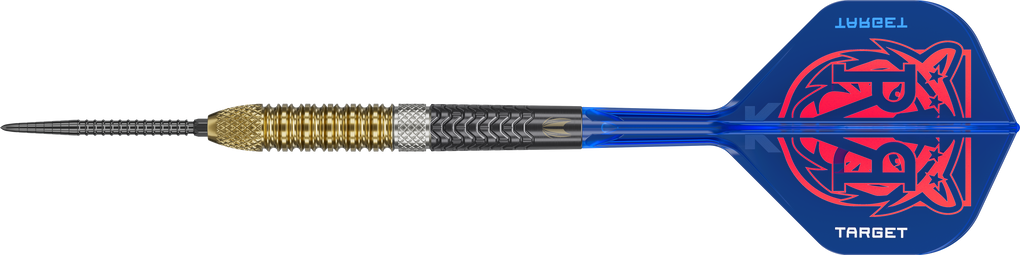 Fléchettes en acier Target Raymond Van Barneveld GEN6 Swiss Point