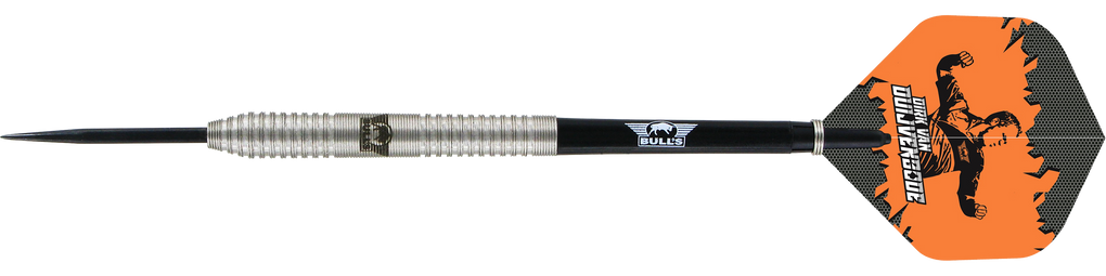 Fléchettes en acier Bulls NL Dirk van Duijvenbode