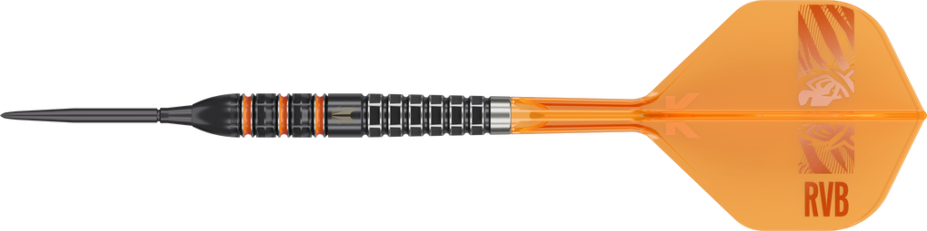 Target Raymond Van Barneveld 95K Swiss Points Steeldarts