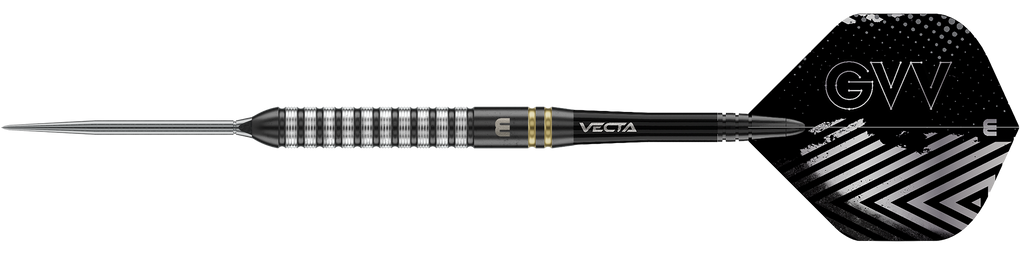 Fléchettes en acier Winmau Gian Van Veen TS Switch Point