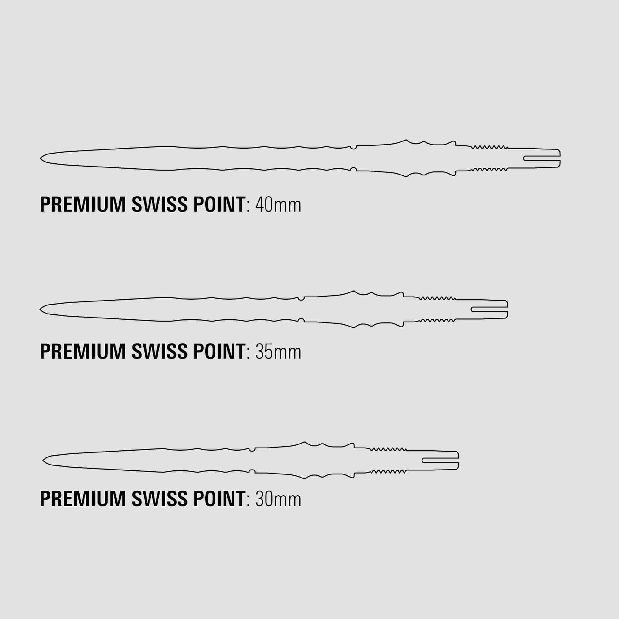 Pointes de fléchettes Target Japan Premium Swiss Point - Argent Die Abbildung zeigt die Target Japan Premium Swiss Point Dartspitzen in Silber. Die Spitzen sind speziell für professionelle Dartspiele hergestellt.