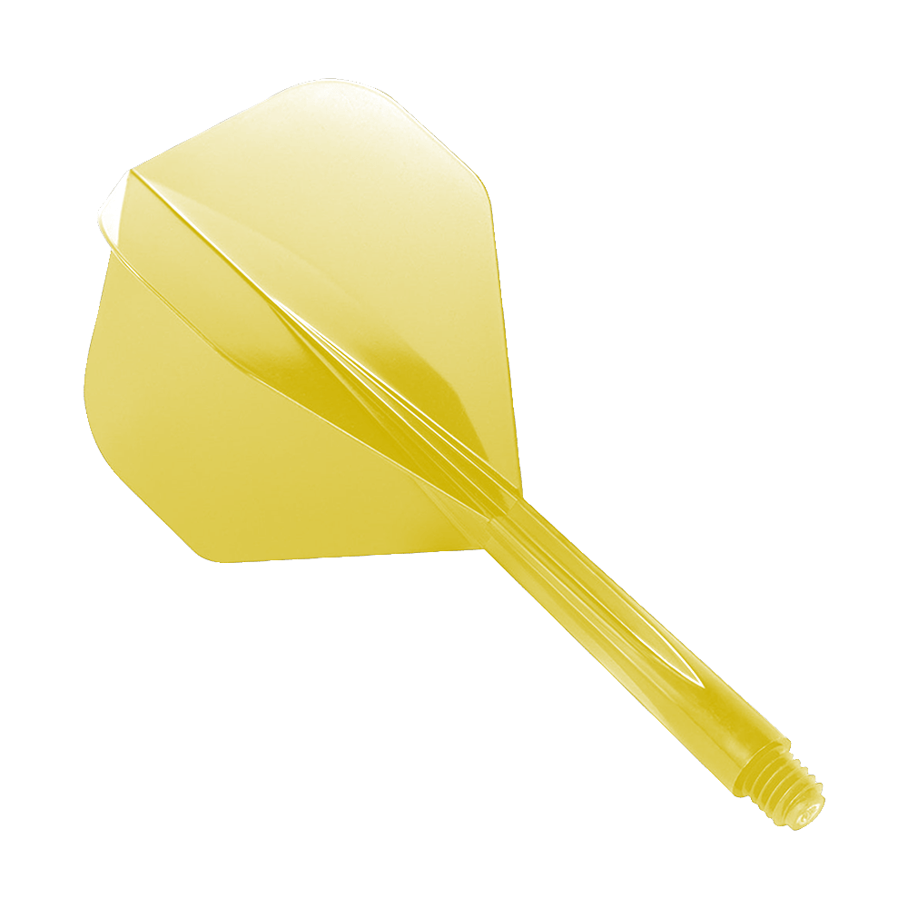 Norme du système de vol jaune Condor Axe