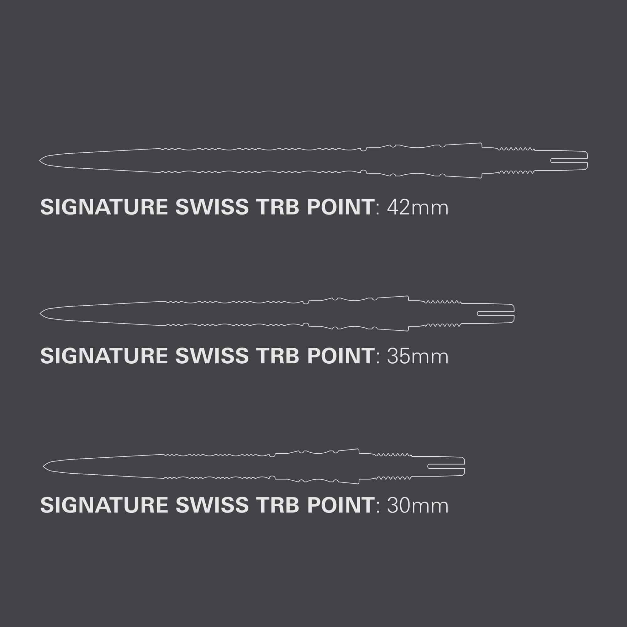 Das Foto zeigt die Target Signature Swiss Point TRB Steeldartspitzen in der Farbe Silber. Sie sind ideal für den professionellen Einsatz im Dartsport.