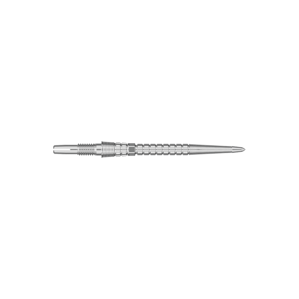 Zwei silberfarbene Dartspitzen werden angezeigt. Die Spitzen sind parallel und nebeneinander ausgerichtet.