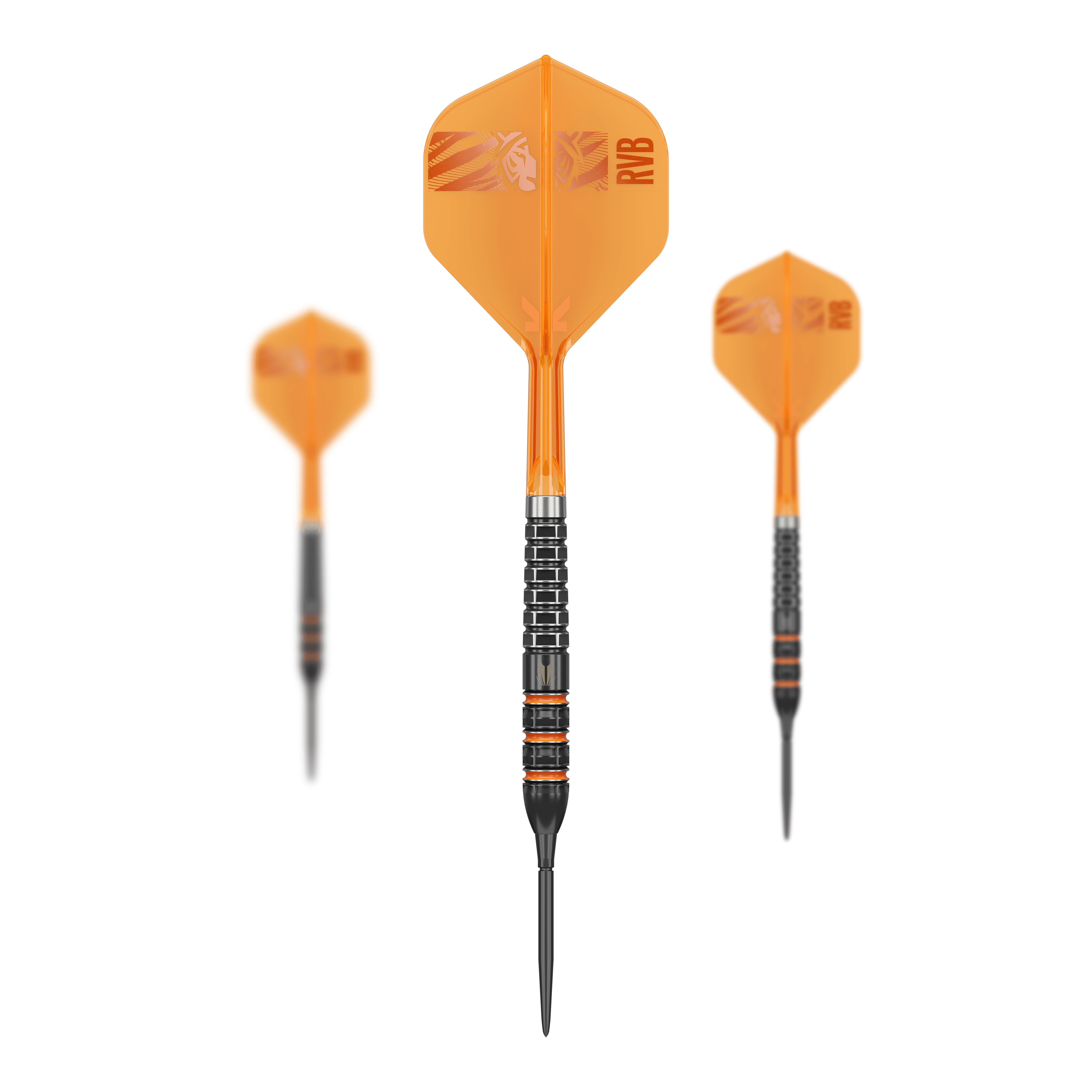 Target Raymond Van Barneveld 95K Swiss Points Steeldarts
