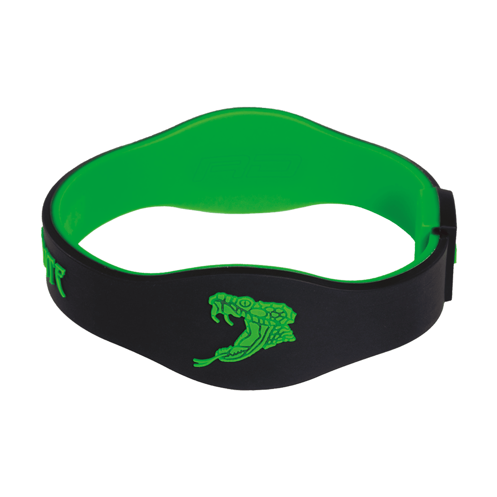 Red Dragon Peter Wright Snakebite Armband