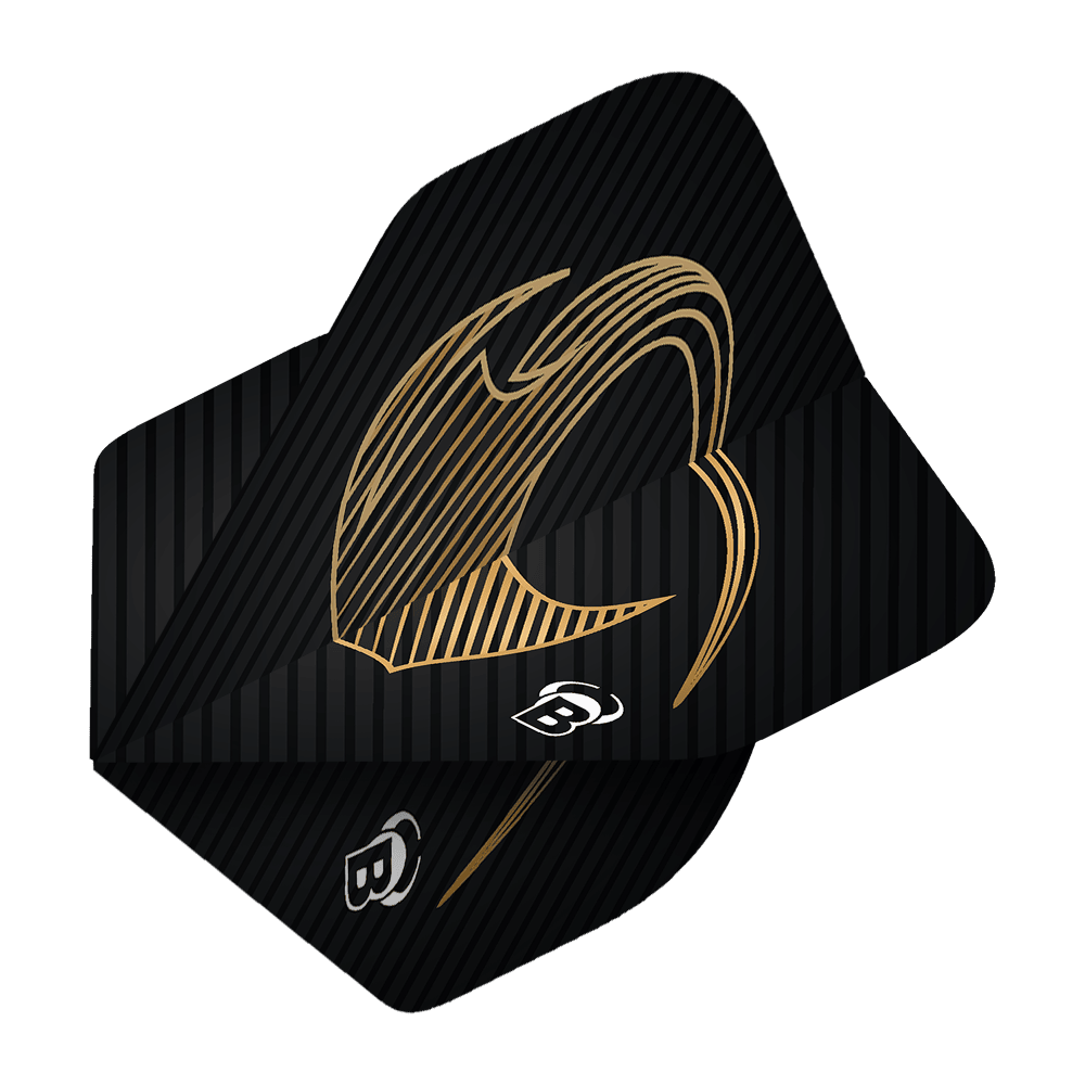 Vols standards Bulls Metrixx Stingray n°2 Das Bild zeigt ein Bulls Metrixx Stingray No2 Standard Flight. Es ist schwarz mit goldenen Linien und einem stilisierten Design.