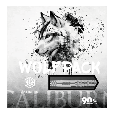 Fléchettes en acier Caliburn Wolfpack W6 - 22 g Zu sehen ist der Caliburn Wolfpack W6 Steeldart mit einem Gewicht von 22 Gramm. Das Produkt eignet sich besonders für präzises Dartspiel.