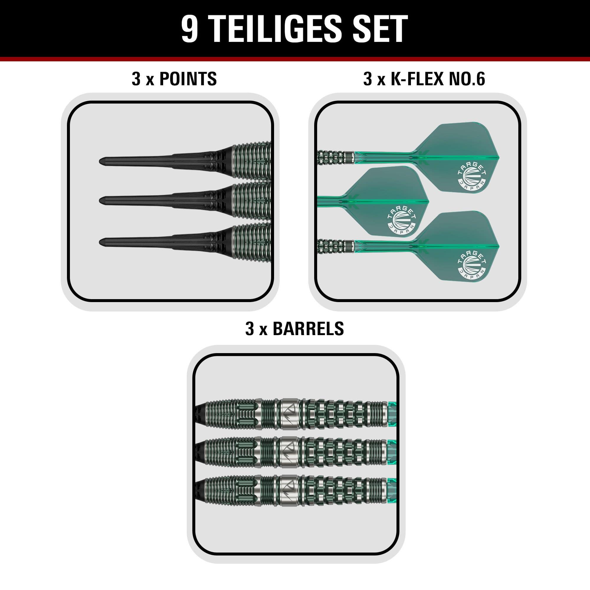Fléchettes souples Target Japan Prime Series PW GEN 3 - 19 g Hier sehen Sie den Target Japan Prime Series PW GEN 3 Softdart mit 19g Gewicht. Das Foto hebt die Gestaltung dieses Produkts hervor.