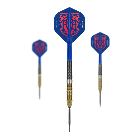 Fléchettes en acier Target Raymond Van Barneveld GEN6 Swiss Point Zu sehen sind die Target Raymond Van Barneveld GEN6 Swiss Point Steeldarts. Diese Darts sind speziell für professionelle Ansprüche gefertigt.