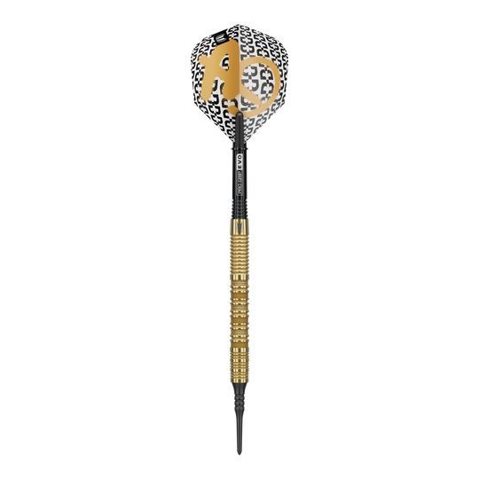 Target Bolide Envy 10 fléchettes souples Zu sehen ist das Produkt Target Bolide Envy 10 Softdarts. Diese Darts sind ideal für Softdart-Spieler geeignet.