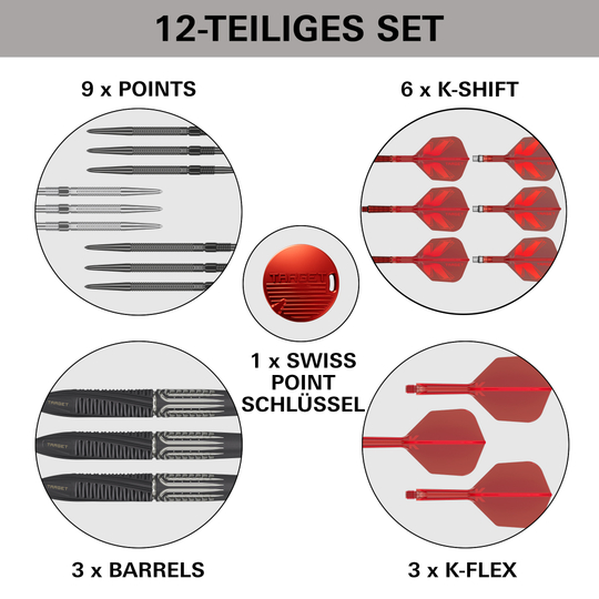 Fléchettes en acier à pointe suisse Target Shift 