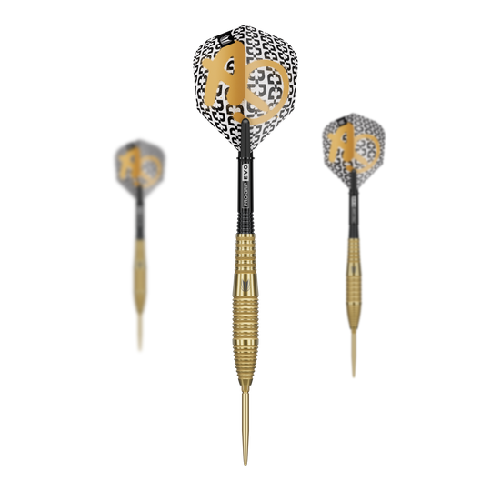 Fléchettes en acier Target Bolide Envy 05 Swiss Point Zu sehen ist der Target Bolide Envy 05 Swiss Point Steeldarts. Dieses Dartpfeil-Set ist ideal für Präzision und Kontrolle.