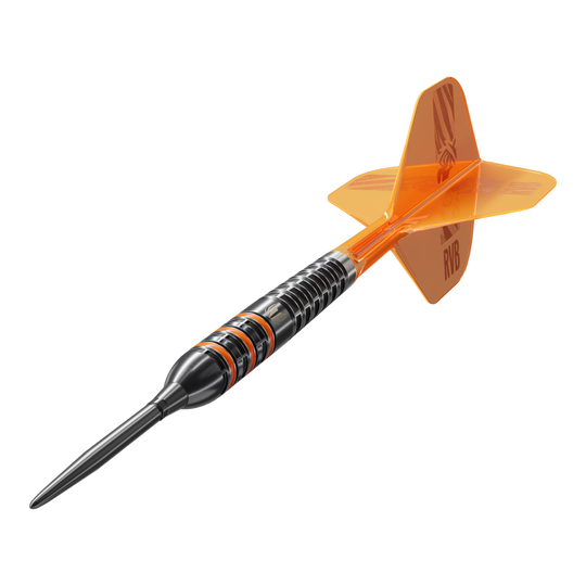 Target Raymond Van Barneveld 95K Swiss Points Steeldarts