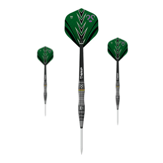 Bulls Brian Raman L'Homme-Mystère Steeldarts Auf dem Bild sind drei Steeldarts des Modells "Bulls Brian Raman The Riddler" zu sehen. Die Flights sind vorwiegend grün mit schwarzen und weißen Akzenten sowie einem lilafarbenen Fragezeichen.