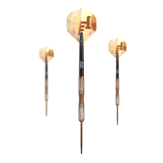 Fléchettes en acier Bulls NL Bronzo True Convertible Point