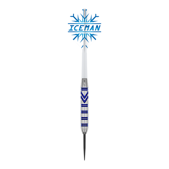 Red Dragon Gerwyn Price Fléchettes en acier et laiton - 21 g Red Dragon Gerwyn Price Brass Steeldarts - 21 g sind auf dem Foto zu sehen. Die Steeldarts zeichnen sich durch ihr elegantes Aussehen aus.