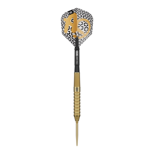 Fléchettes en acier Target Bolide Envy 02 Swiss Point Target Bolide Envy 02 Swiss Point Steeldarts sind professionelle Steeldarts. Das Bild zeigt das Design und die Details dieses Dart-Produkts.