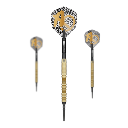 Target Bolide Envy 10 fléchettes souples Abgebildet ist ein Set der Target Bolide Envy 10 Softdarts. Das Set umfasst hochwertige Softdarts für den Dart-Sport.