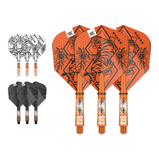 Kit d'arbre de vol Target Ink Raymond Van Barneveld Abgebildet ist ein Flight-Shaft-Kit, vermutlich das Raymond Van Barneveld Modell mit 34 mm Länge. Das Produkt ist ein Dart-Zubehör.