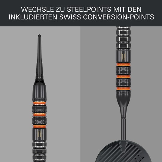 Fléchettes souples Target Raymond Van Barneveld 95K - 20g