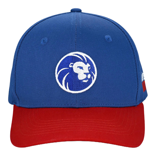 Casquette de la collection Lion Gezeigt wird eine Cap aus der Löwen Kollektion. Sie ist perfekt für Fans des Dartspiels geeignet.