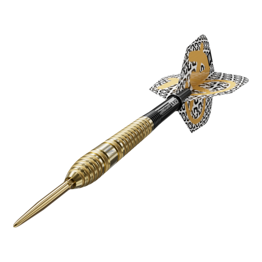 Fléchettes en acier Target Bolide Envy 03 Swiss Point Das Bild zeigt Target Bolide Envy 03 Swiss Point Steeldarts. Diese Darts sind für das Steeldart-Spiel konzipiert.