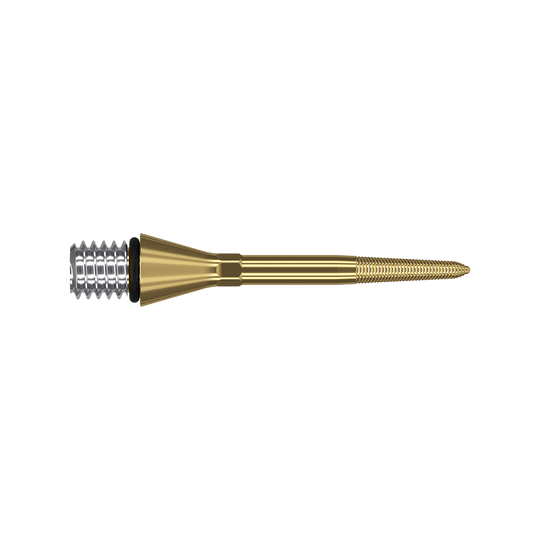 380166_Target_Titanium_Swiss_Point_Nano_Conversion_Points_Gold_26mm_2 Das Bild zeigt eine goldfarbene Dartspitze mit einem silbernen Gewinde am linken Ende. Die Spitze ist schmal und hat feine Rillen am rechten Ende.