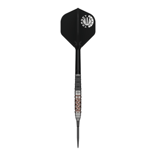 Fléchettes en acier Target Japan Charis GEN6 Swiss Point - 23 g Target Japan Charis GEN6 Swiss Point Steeldarts - 23g sind Steeldarts der Marke Target. Das Bild zeigt die hochwertige Verarbeitung und das Design der Darts.