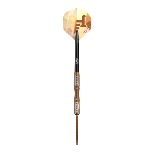 Fléchettes en acier Bulls NL Bronzo True Convertible Point