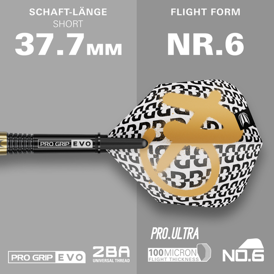 Target Bolide Envy 10 fléchettes souples Dargestellt werden die Target Bolide Envy 10 Softdarts. Das Set ist perfekt für Softdart-Liebhaber.