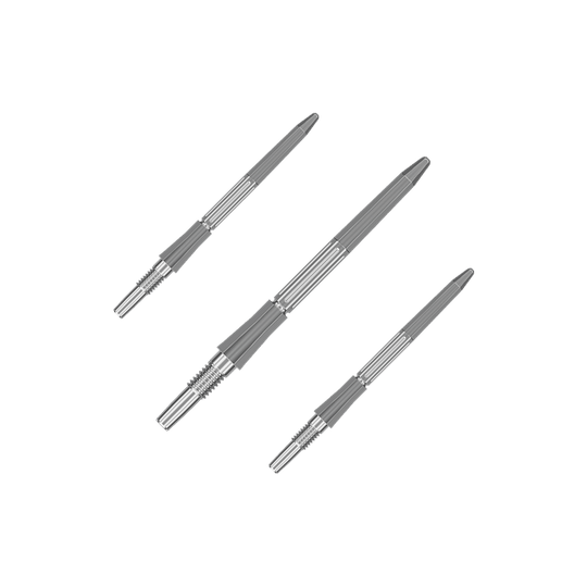Abgebildet ist ein Set silberner Dartspitzen mit einer Länge von 30mm. Die Dartspitzen sind für das Swiss Point System geeignet.