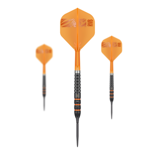 Target Raymond Van Barneveld 95K Swiss Points Steeldarts Target Raymond Van Barneveld 95K Swiss Points Steeldarts