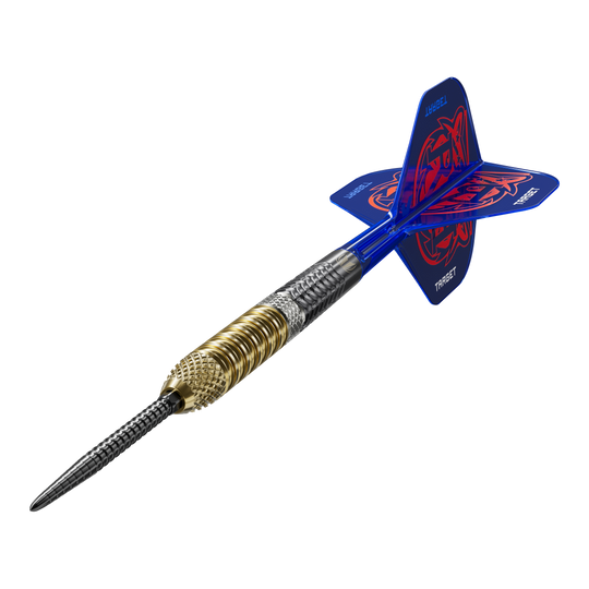 Abgebildet sind die Target Raymond Van Barneveld GEN6 Swiss Point Steeldarts. Es handelt sich um hochwertige Steeldarts für Dartspieler.