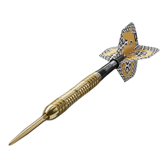 Fléchettes en acier Target Bolide Envy 04 Swiss Point Zu sehen ist ein Target Bolide Envy 04 Swiss Point Steeldarts. Die hochwertige Verarbeitung macht die Darts besonders attraktiv für Dartspieler.
