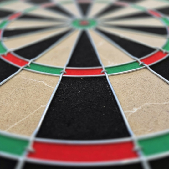 Jeu de fléchettes en acier Target Dimitri Van Den Bergh Das Bild zeigt eine Nahaufnahme eines Steeldartboards mit schwarz, beige, rot und grün markierten Segmenten. Besonders gut zu erkennen sind die Drähte, die die Felder voneinander trennen.