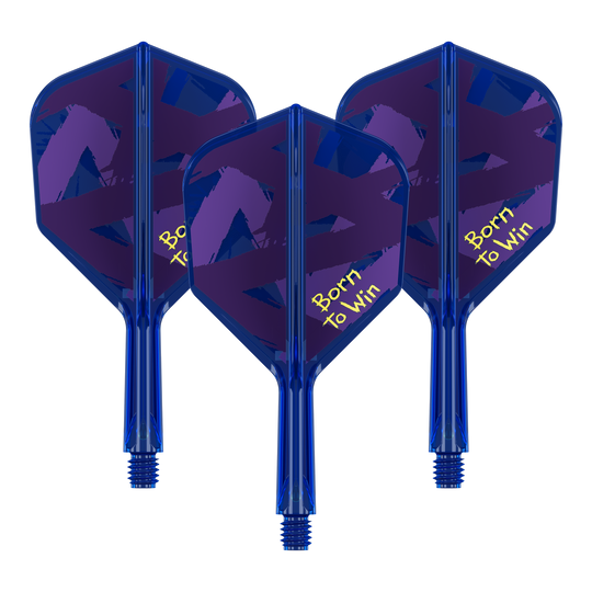Target K-Flex Luke Littler Né pour gagner Champion du monde Vols n°6