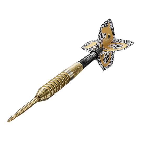 Fléchettes en acier Target Bolide Envy 02 Swiss Point Gezeigt wird der Target Bolide Envy 02 Swiss Point Steeldart. Der Dartpfeil ist für präzises Werfen und hohen Komfort konzipiert.