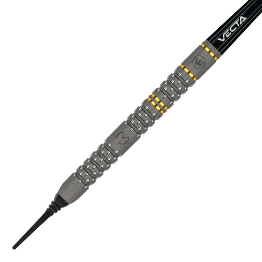 Winmau Michael Van Gerwen Evo-X fléchettes souples - 20g Das Bild zeigt einen Winmau Michael Van Gerwen Evo-X Softdart mit einem Gewicht von 20 Gramm. Der Dart hat ein markantes Design mit silbernen und goldenen Akzenten sowie der Aufschrift "VECTA".