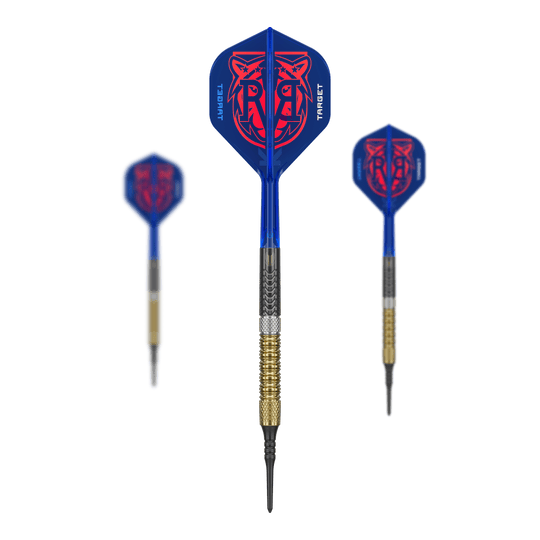Fléchettes souples Target Raymond Van Barneveld GEN6 Das Bild zeigt das Target Raymond Van Barneveld GEN6 Softdarts Set. Alle enthaltenen Darts und Zubehörteile sind zusammen zu sehen.
