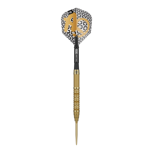 Fléchettes en acier Target Bolide Envy 01 Swiss Point Das Bild zeigt die Target Bolide Envy 01 Swiss Point Steeldarts. Diese Darts sind für anspruchsvolle Dartspieler geeignet.