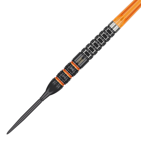 Target Raymond Van Barneveld 95K Swiss Points Steeldarts