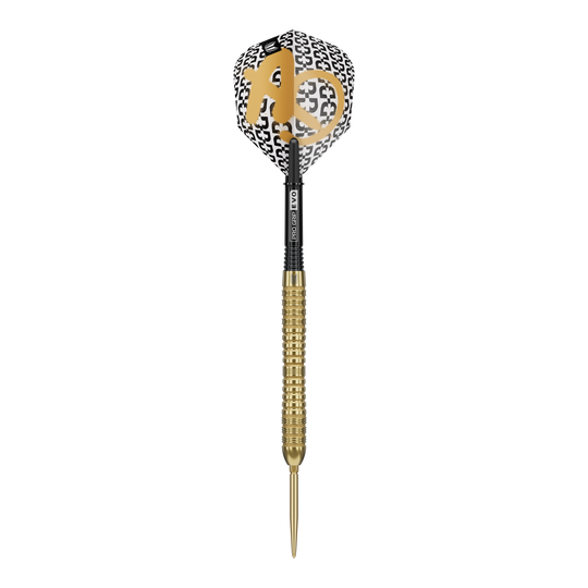 Fléchettes en acier Target Bolide Envy 04 Swiss Point Abgebildet ist ein Target Bolide Envy 04 Swiss Point Steeldarts. Die Darts haben ein elegantes Design und sind für präzises Spiel geeignet.