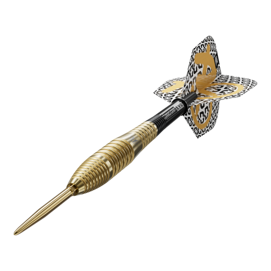 Fléchettes en acier Target Bolide Envy 05 Swiss Point Das Foto präsentiert die Target Bolide Envy 05 Swiss Point Steeldarts. Die Dartpfeile sind aus der Nähe fotografiert und wirken hochwertig verarbeitet.