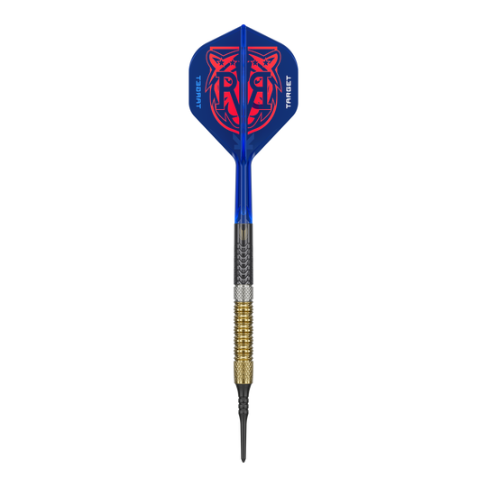 Fléchettes souples Target Raymond Van Barneveld GEN6 Das Bild zeigt die Target Raymond Van Barneveld GEN6 Softdarts. Die Darts sind deutlich sichtbar dargestellt.